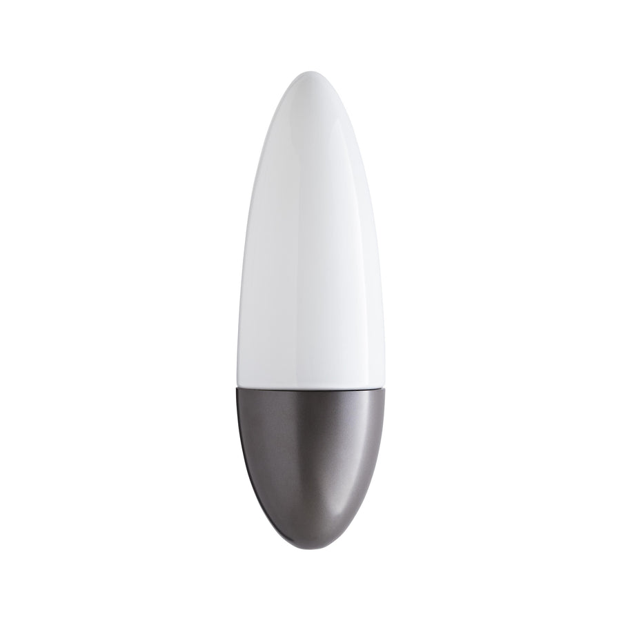 Outdoor Asher Sconce