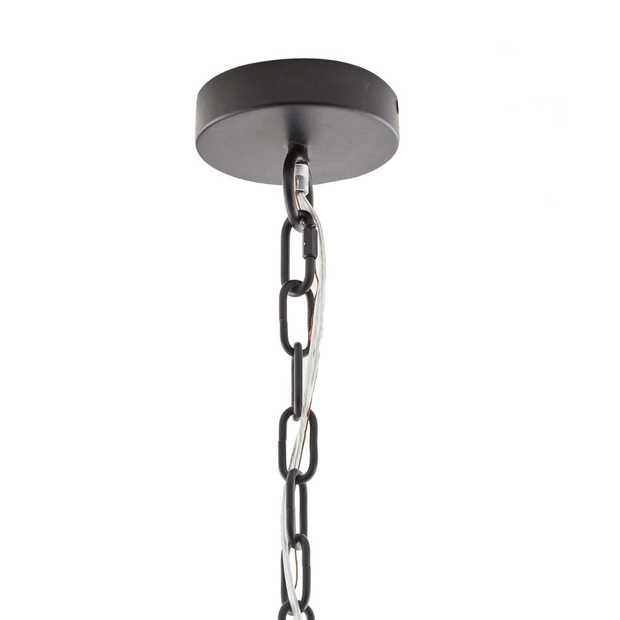 Paradisa Chandelier