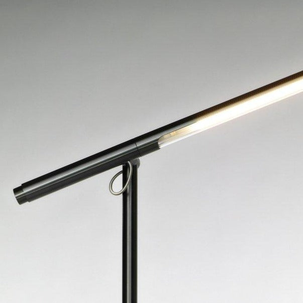 Brazo Floor Lamp