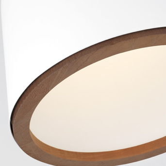 Murphy Medium Pendant