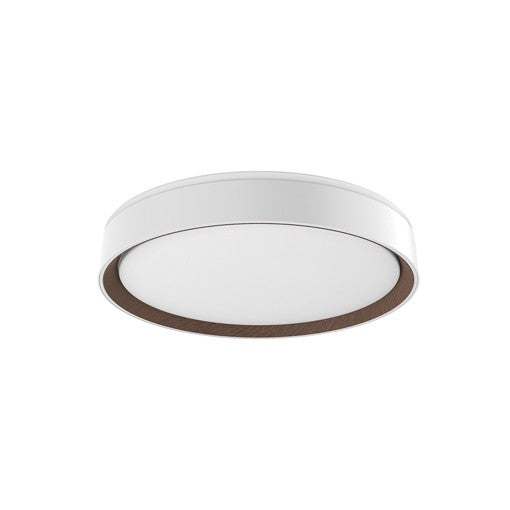 Essex Small Flush Mount